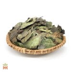 0045-4645 – Ilex guayusa – Ecuador, leaves, whole_C