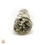 0251-3940 – Salvia apiana – Oregon, leaves, bundle, large_B White Sage (Salvia Apiana) - Leaves in Large Smudge Bundle, from Oregon, United States