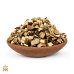 0948-4545 – Rhus pauciflorus – root, cut_B