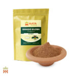 Extrait de Ginkgo Biloba (Ginkgoaceae) - Extrait sec de Chine